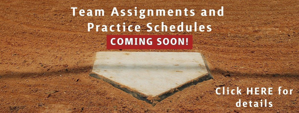 Team Assignments & Practices