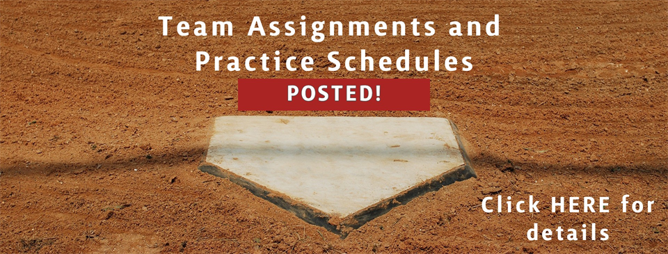 Team Assignments & Practices